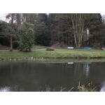 Downing Lake 1