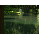 Downing Lake 2