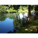Downing Lake 4
