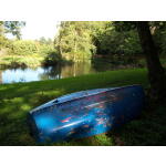Downing Lake 5