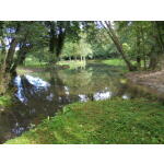 Downing Lake 6