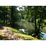 Downing Lake 9