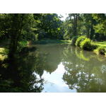 Downing Lake 10